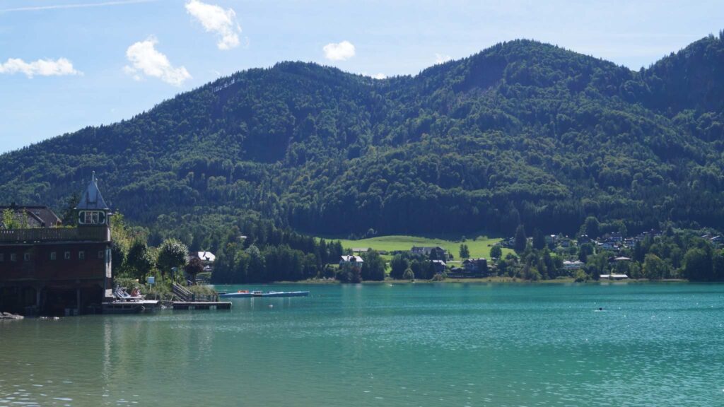Waldhof 12